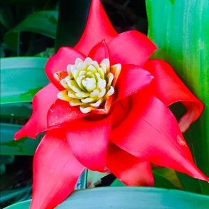 Meet your Posher, Adonai